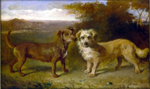 Compagnons - John Glass